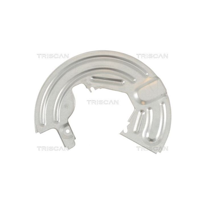 Apsauginis skydas, stabdžių diskas TRISCAN 8125 25104