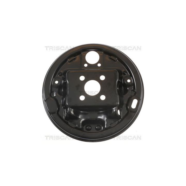 Apsauginis skydas, stabdžių diskas TRISCAN 8125 25201