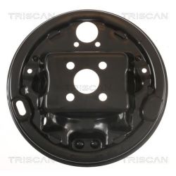 Apsauginis skydas, stabdžių diskas TRISCAN 8125 25202