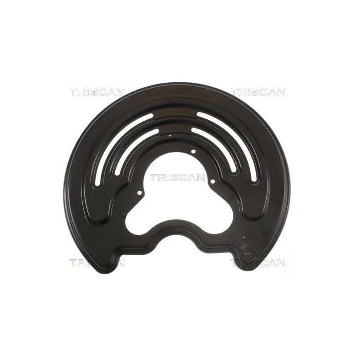 Apsauginis skydas, stabdžių diskas TRISCAN 8125 25205