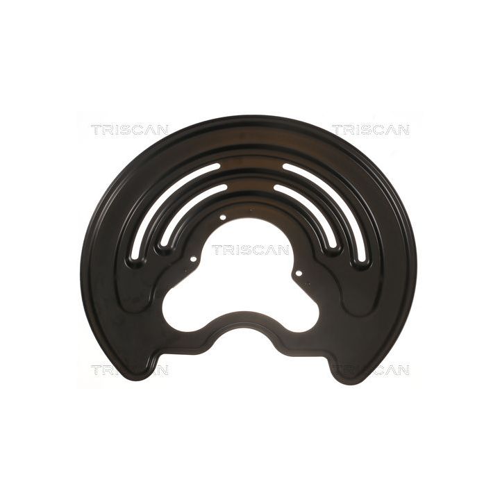 Apsauginis skydas, stabdžių diskas TRISCAN 8125 25205