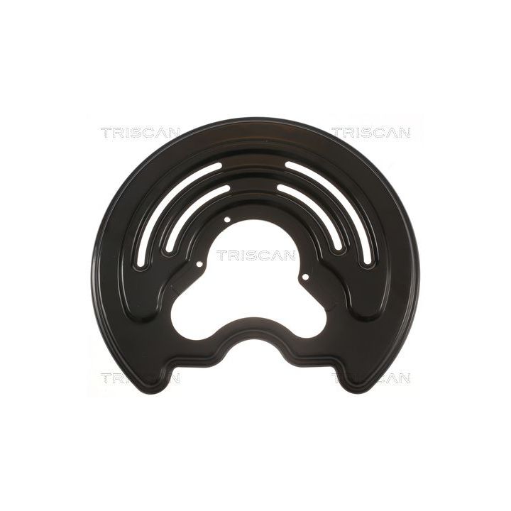 Apsauginis skydas, stabdžių diskas TRISCAN 8125 25206