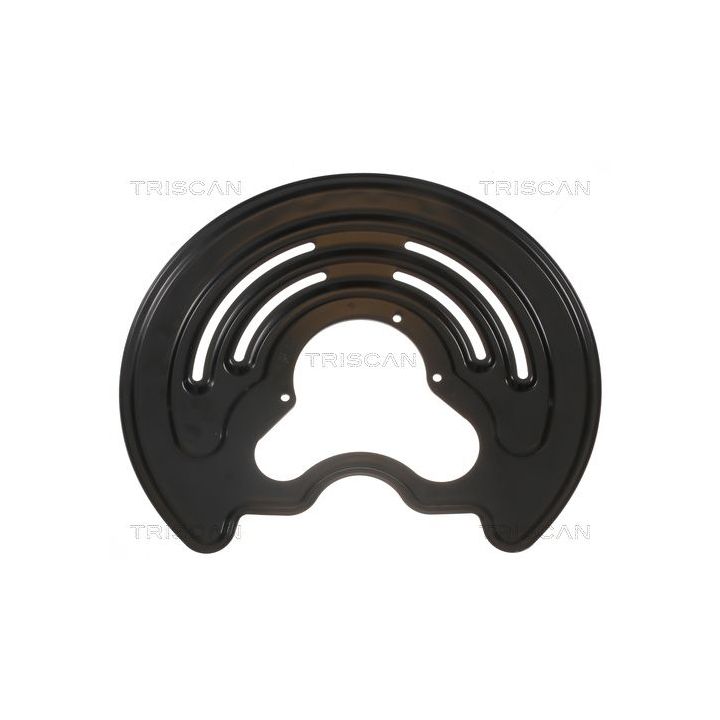 Apsauginis skydas, stabdžių diskas TRISCAN 8125 25206