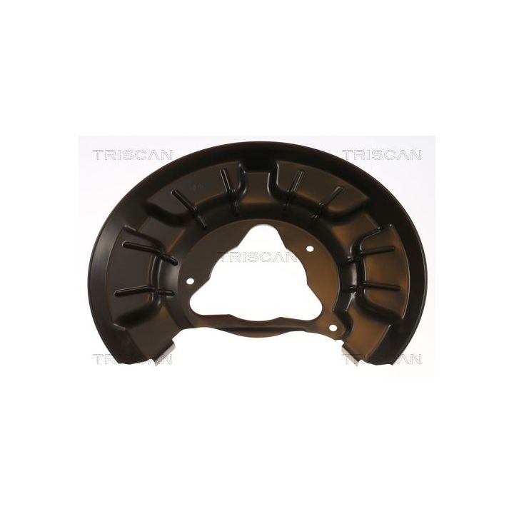 Apsauginis skydas, stabdžių diskas TRISCAN 8125 43209