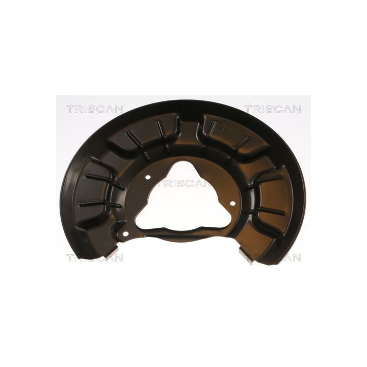 Apsauginis skydas, stabdžių diskas TRISCAN 8125 43210