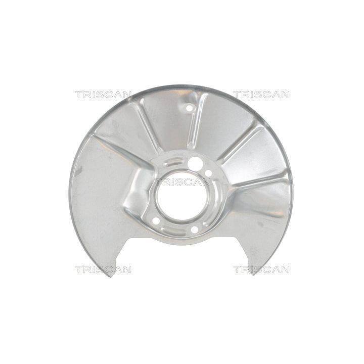 Apsauginis skydas, stabdžių diskas TRISCAN 8125 50201