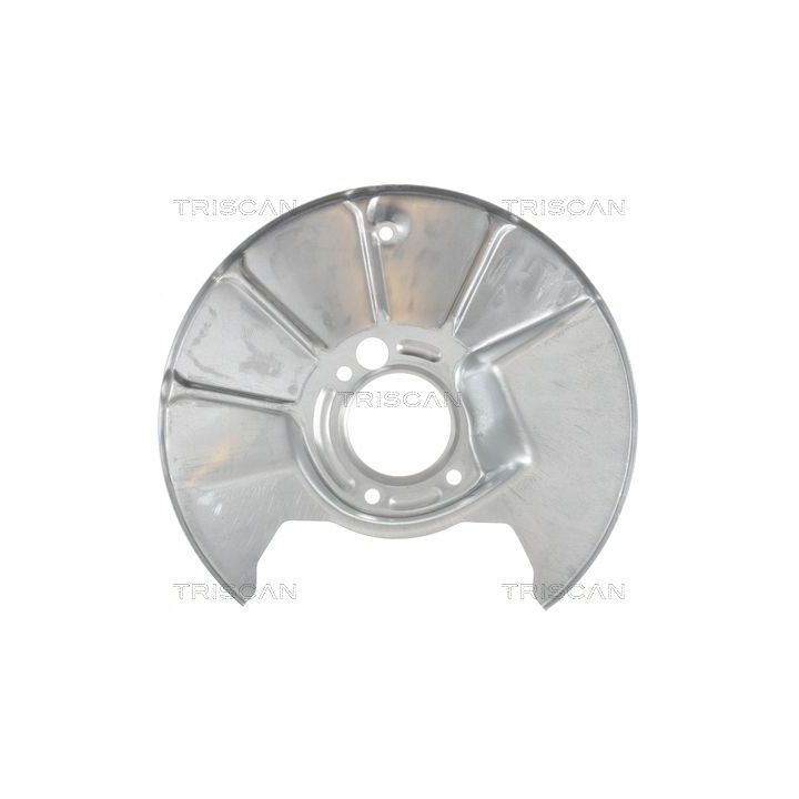 Apsauginis skydas, stabdžių diskas TRISCAN 8125 50202