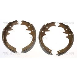 Stabdžių trinkelių komplektas, stovėjimo stabdis TRISCAN 8100 10010