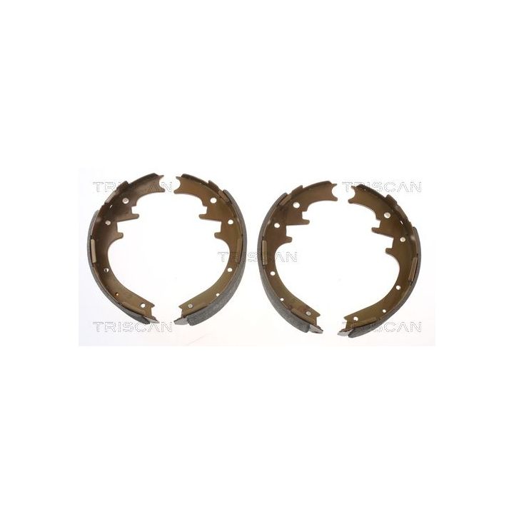 Stabdžių trinkelių komplektas, stovėjimo stabdis TRISCAN 8100 10010