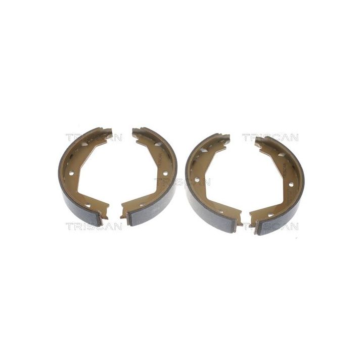 Stabdžių trinkelių komplektas, stovėjimo stabdis TRISCAN 8100 10629