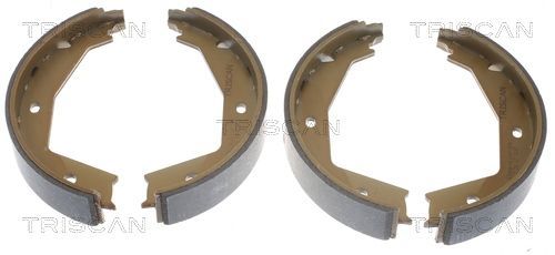Stabdžių trinkelių komplektas, stovėjimo stabdis TRISCAN 8100 10629