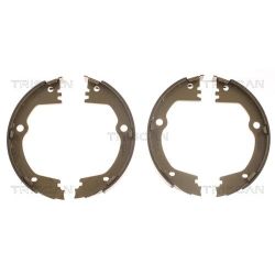 Stabdžių trinkelių komplektas, stovėjimo stabdis TRISCAN 8100 10630