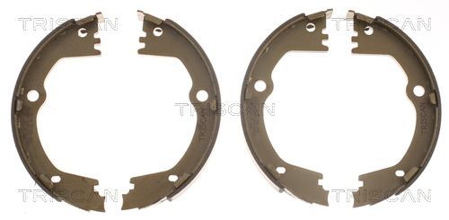 Stabdžių trinkelių komplektas, stovėjimo stabdis TRISCAN 8100 10630