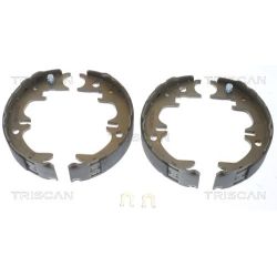 Stabdžių trinkelių komplektas, stovėjimo stabdis TRISCAN 8100 13030