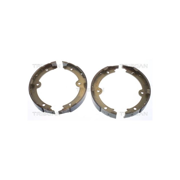 Stabdžių trinkelių komplektas, stovėjimo stabdis TRISCAN 8100 13045