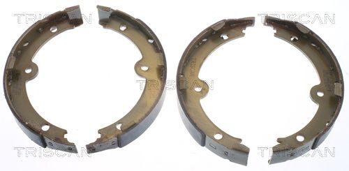 Stabdžių trinkelių komplektas, stovėjimo stabdis TRISCAN 8100 13045