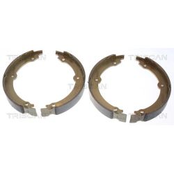 Stabdžių trinkelių komplektas, stovėjimo stabdis TRISCAN 8100 13046