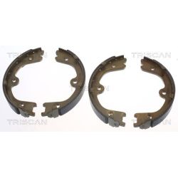 Stabdžių trinkelių komplektas, stovėjimo stabdis TRISCAN 8100 14009