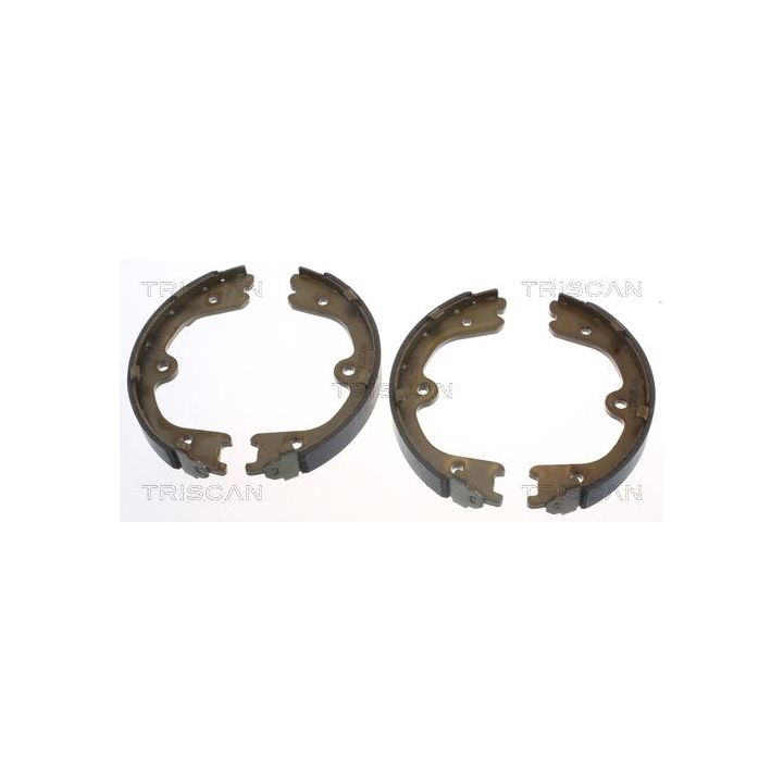 Stabdžių trinkelių komplektas, stovėjimo stabdis TRISCAN 8100 14009