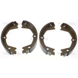 Stabdžių trinkelių komplektas, stovėjimo stabdis TRISCAN 8100 15019