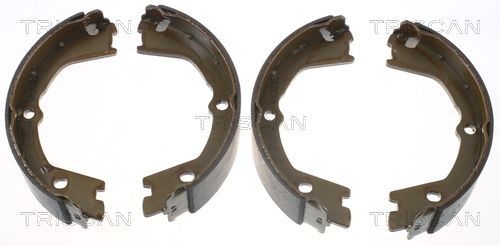 Stabdžių trinkelių komplektas, stovėjimo stabdis TRISCAN 8100 15019