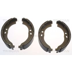 Stabdžių trinkelių komplektas, stovėjimo stabdis TRISCAN 8100 15024