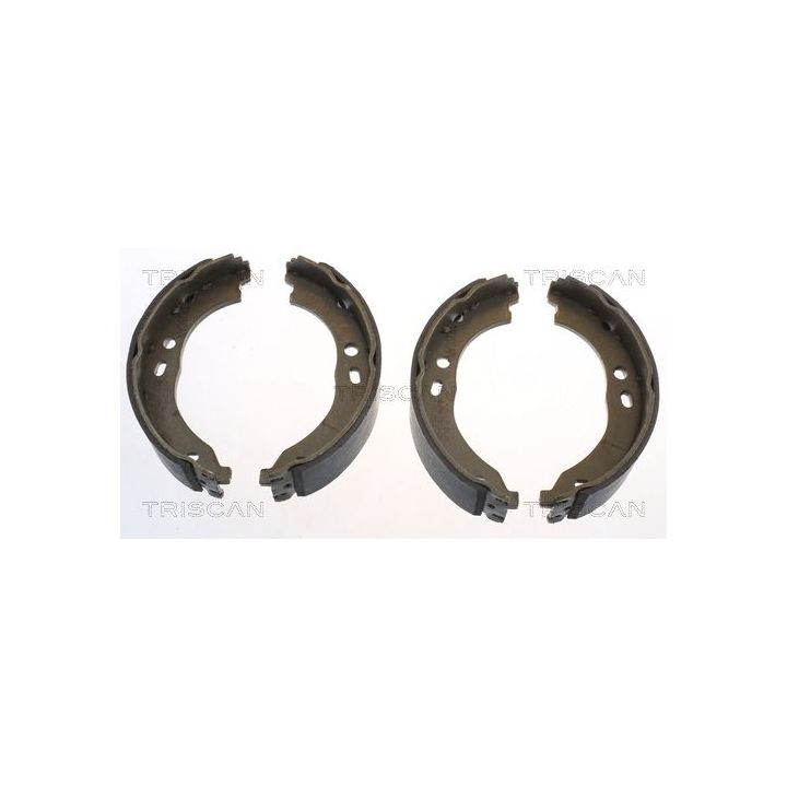 Stabdžių trinkelių komplektas, stovėjimo stabdis TRISCAN 8100 15024