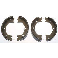 Stabdžių trinkelių komplektas, stovėjimo stabdis TRISCAN 8100 15025