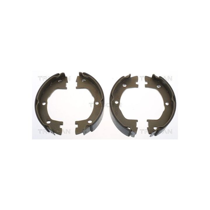 Stabdžių trinkelių komplektas, stovėjimo stabdis TRISCAN 8100 15025