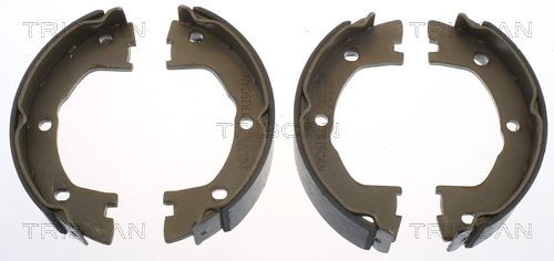 Stabdžių trinkelių komplektas, stovėjimo stabdis TRISCAN 8100 15025