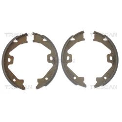 Stabdžių trinkelių komplektas, stovėjimo stabdis TRISCAN 8100 17011