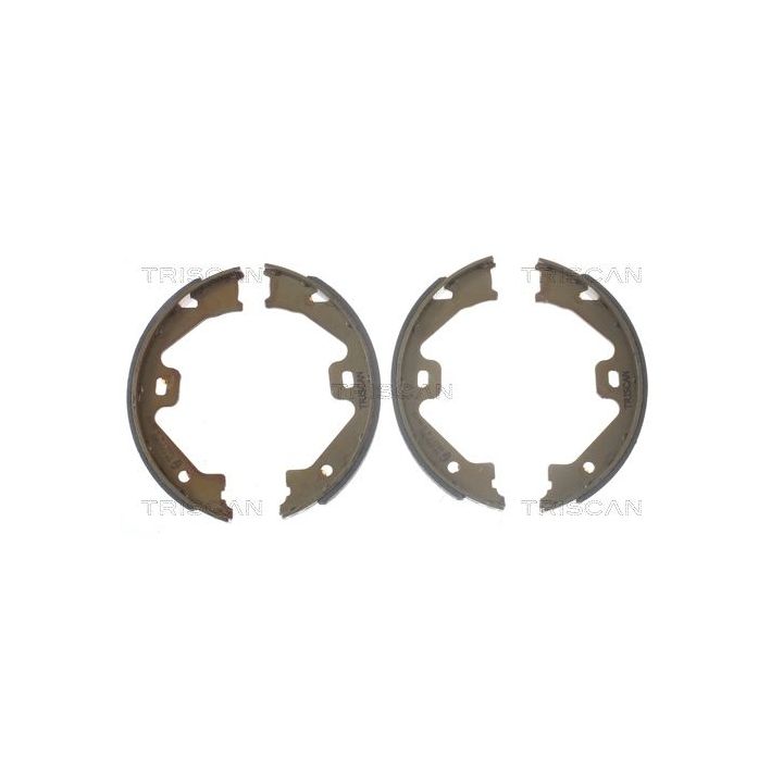 Stabdžių trinkelių komplektas, stovėjimo stabdis TRISCAN 8100 17011