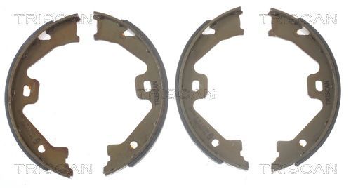 Stabdžių trinkelių komplektas, stovėjimo stabdis TRISCAN 8100 17011