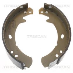 Stabdžių trinkelių komplektas, stovėjimo stabdis TRISCAN 8100 17012