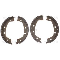 Stabdžių trinkelių komplektas, stovėjimo stabdis TRISCAN 8100 17013