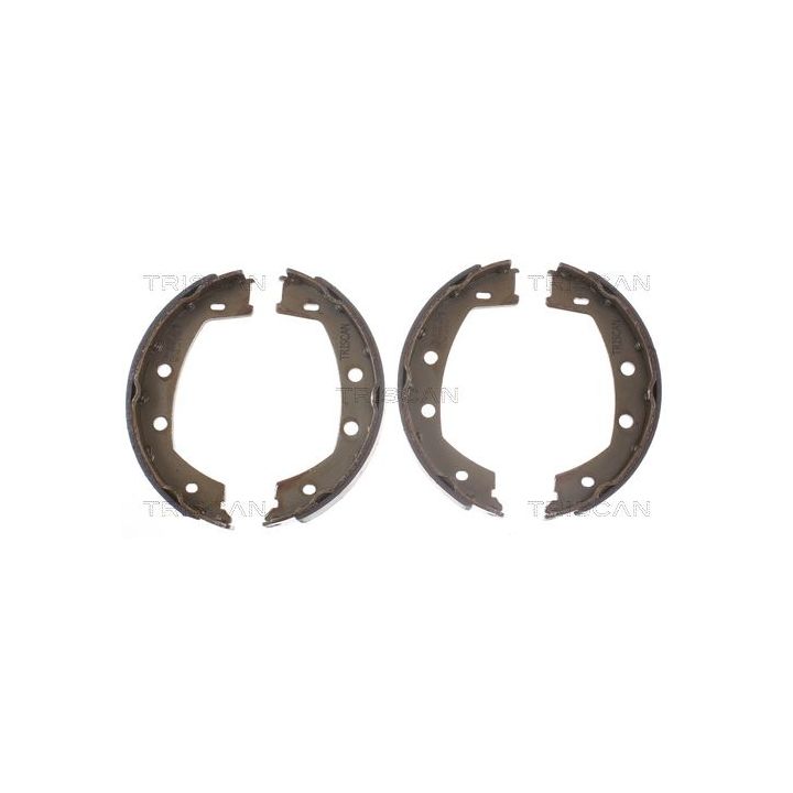 Stabdžių trinkelių komplektas, stovėjimo stabdis TRISCAN 8100 17013