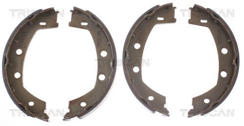 Stabdžių trinkelių komplektas, stovėjimo stabdis TRISCAN 8100 17013