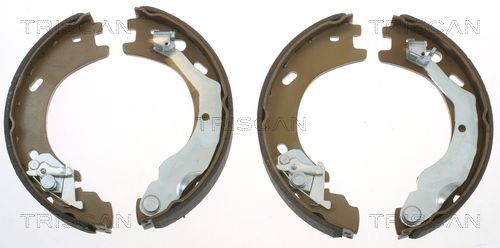 Stabdžių trinkelių komplektas, stovėjimo stabdis TRISCAN 8100 17014