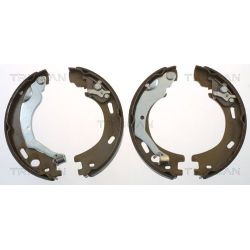 Stabdžių trinkelių komplektas, stovėjimo stabdis TRISCAN 8100 17015