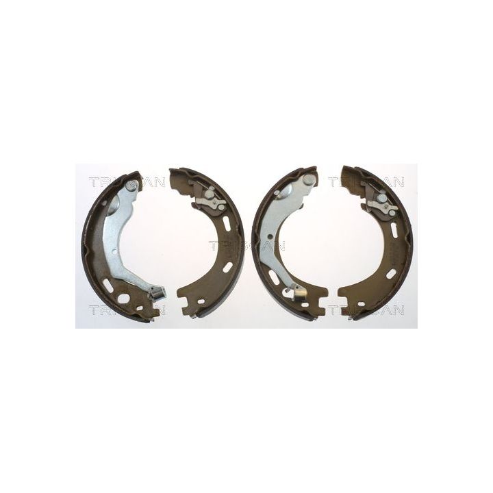 Stabdžių trinkelių komplektas, stovėjimo stabdis TRISCAN 8100 17015