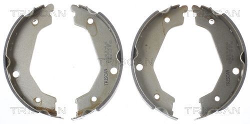 Stabdžių trinkelių komplektas, stovėjimo stabdis TRISCAN 8100 18004