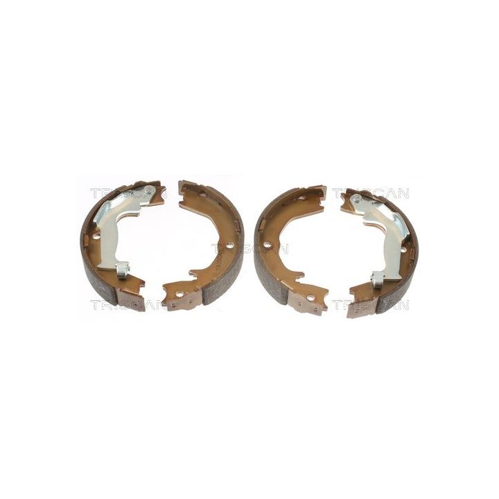 Stabdžių trinkelių komplektas, stovėjimo stabdis TRISCAN 8100 18007