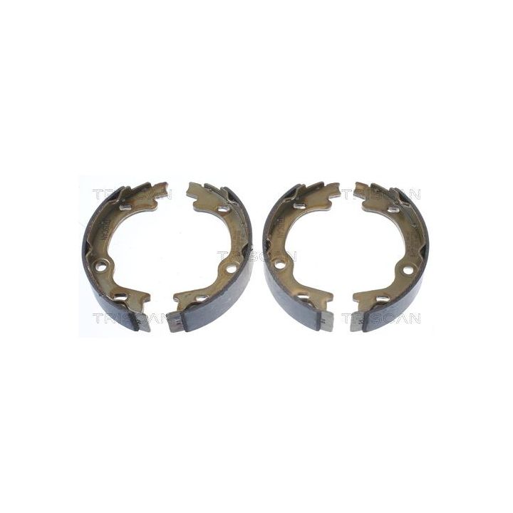 Stabdžių trinkelių komplektas, stovėjimo stabdis TRISCAN 8100 18010