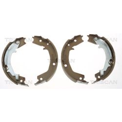 Stabdžių trinkelių komplektas, stovėjimo stabdis TRISCAN 8100 18011