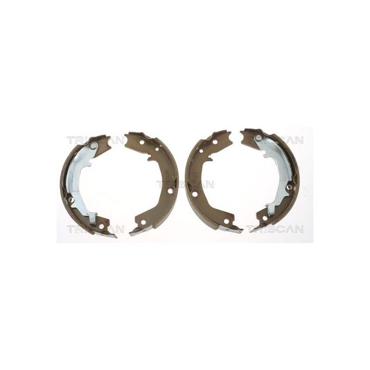 Stabdžių trinkelių komplektas, stovėjimo stabdis TRISCAN 8100 18011