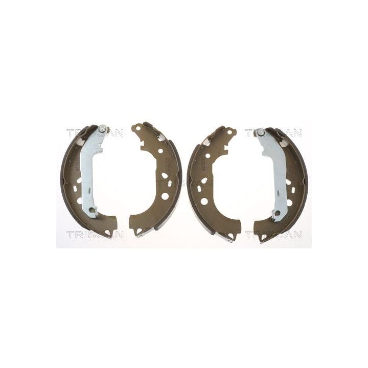 Stabdžių trinkelių komplektas, stovėjimo stabdis TRISCAN 8100 18014