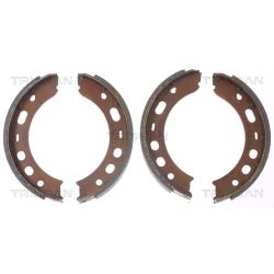 Stabdžių trinkelių komplektas, stovėjimo stabdis TRISCAN 8100 20001