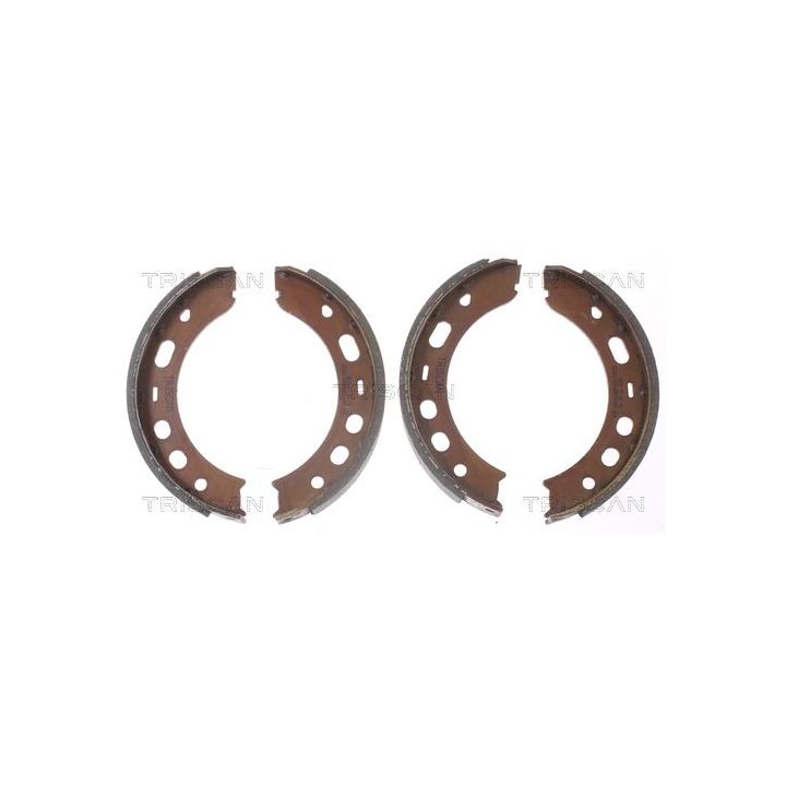 Stabdžių trinkelių komplektas, stovėjimo stabdis TRISCAN 8100 20001