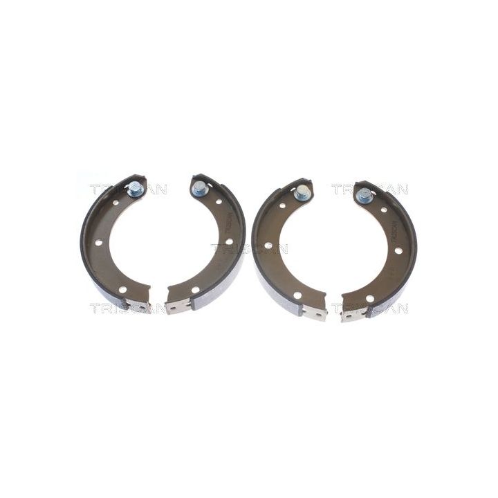 Stabdžių trinkelių komplektas, stovėjimo stabdis TRISCAN 8100 20003