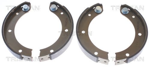 Stabdžių trinkelių komplektas, stovėjimo stabdis TRISCAN 8100 20003